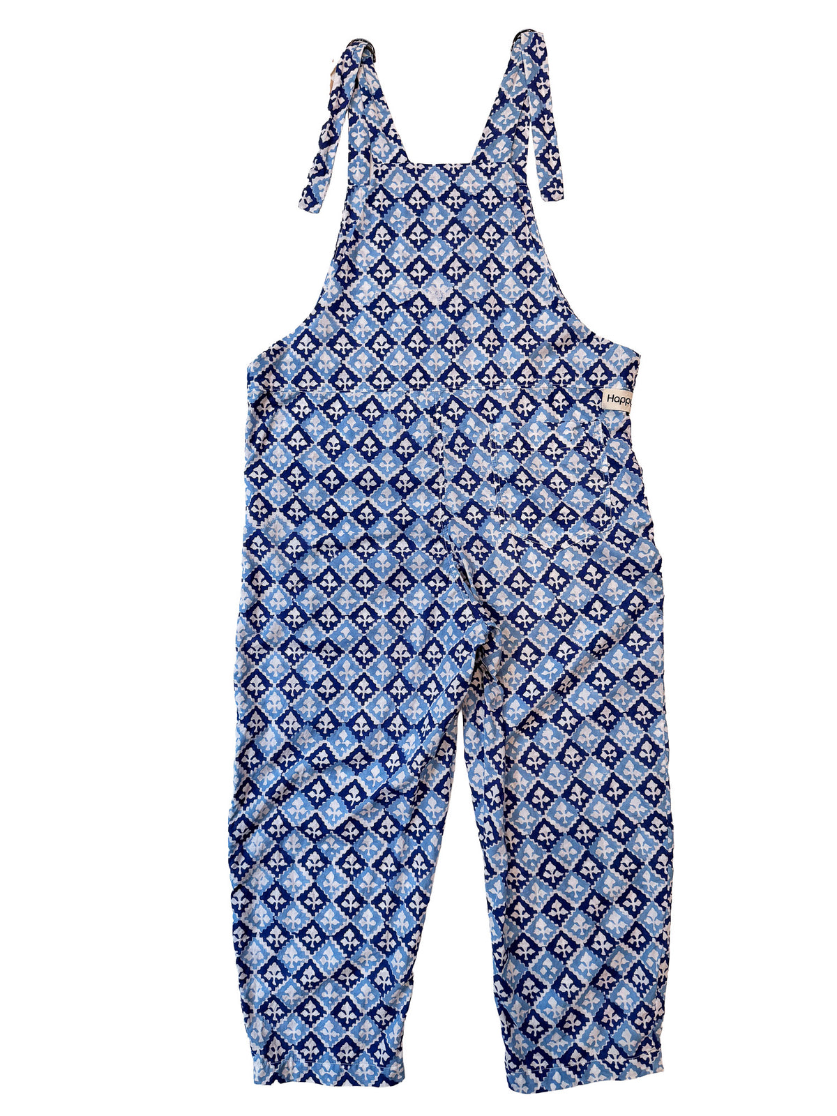 Indigo Check cotton overalls back view